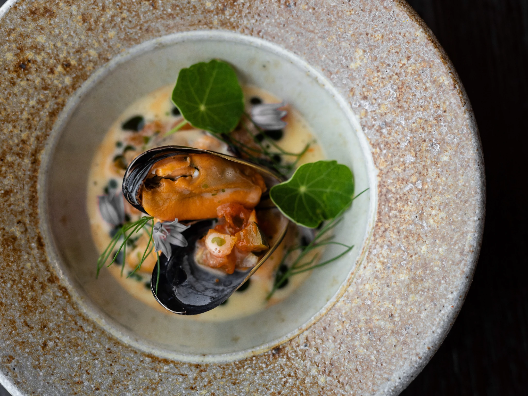 Mussels in bowl