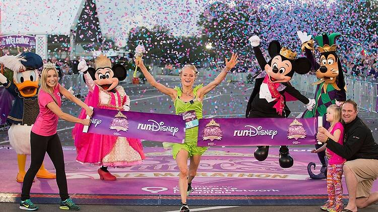 D23 D23