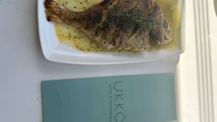 Fish dish at Ukko 