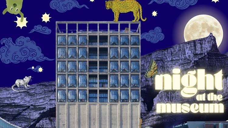 Zeitz MOCAA Night at the Museum Zeitz MOCAA Night at the Museum