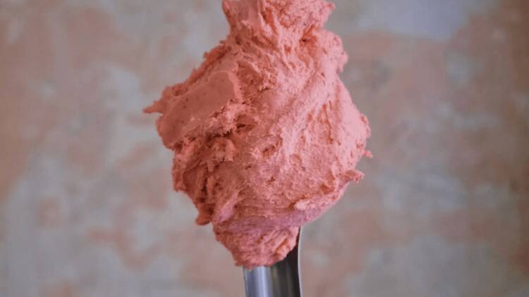 Lolli Gelato Lolli Gelato