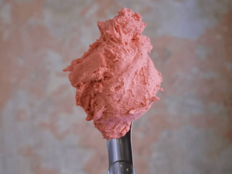Lolli Gelato Lolli Gelato