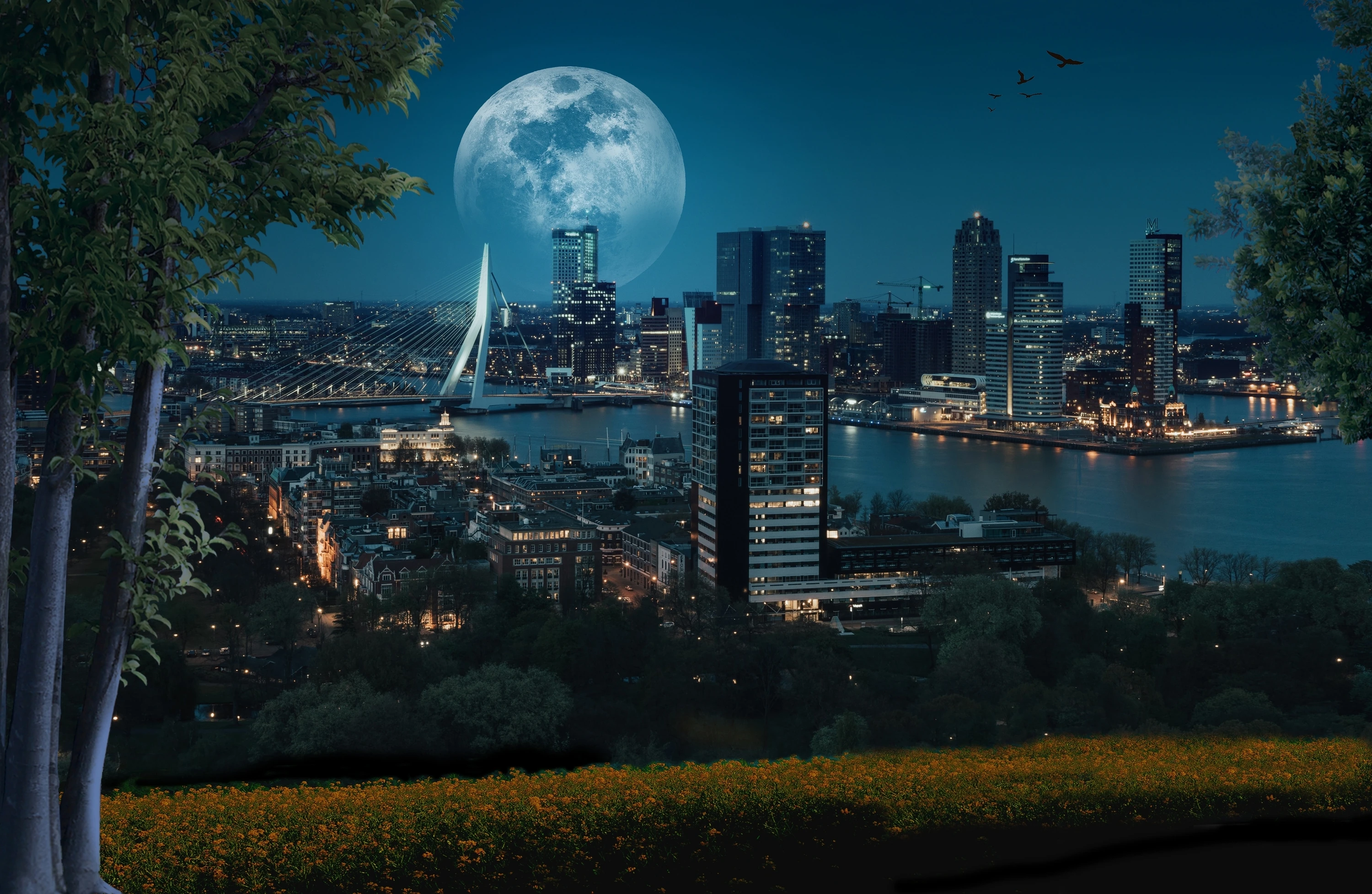 Blue moon