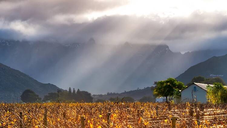 Deetlefs Wine Estate