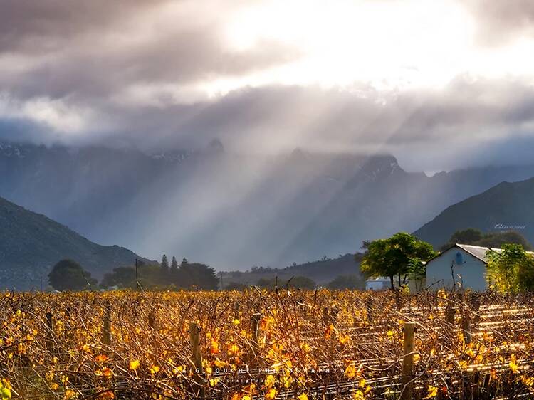 Deetlefs Wine Estate
