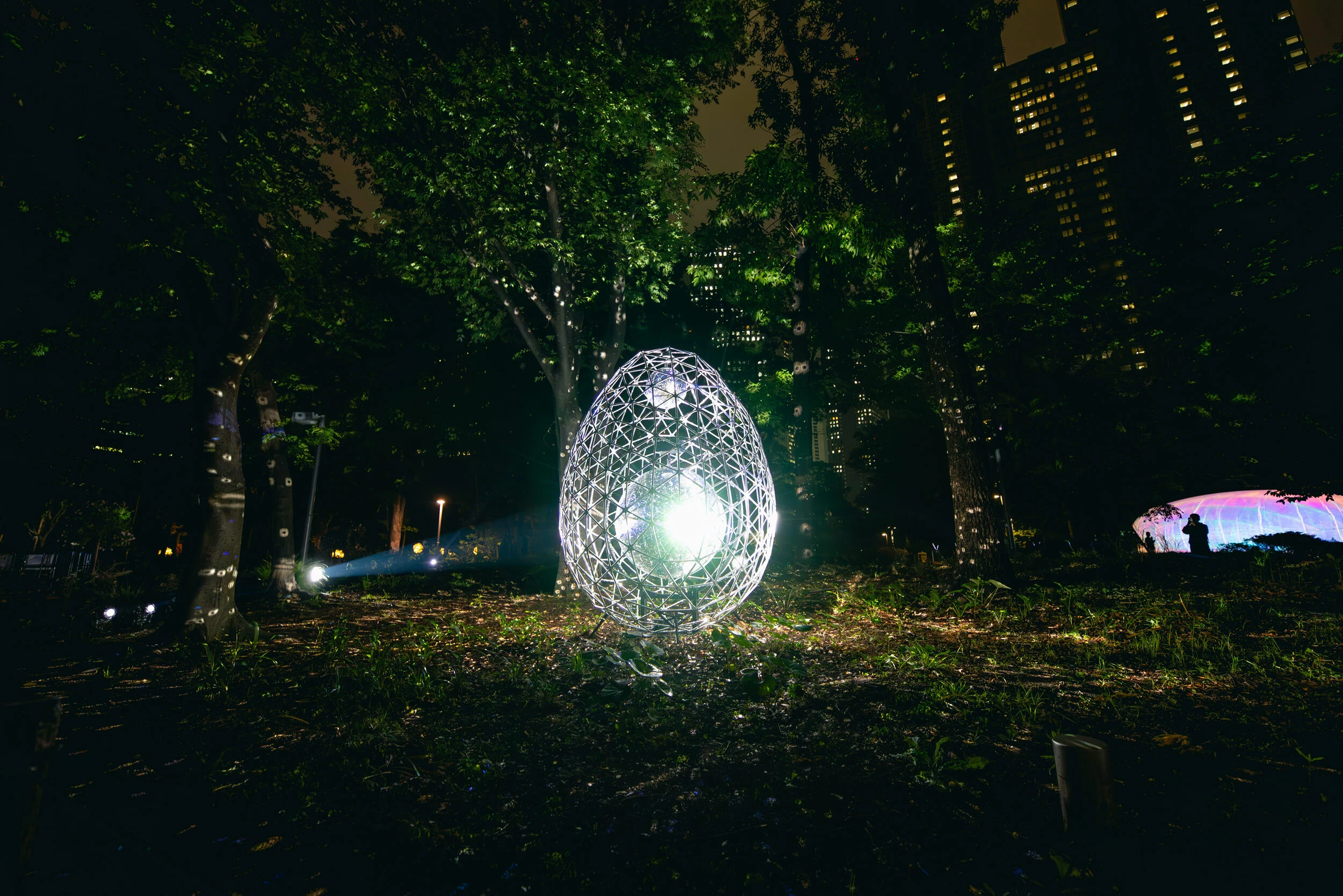 TOKYO LIGHTS