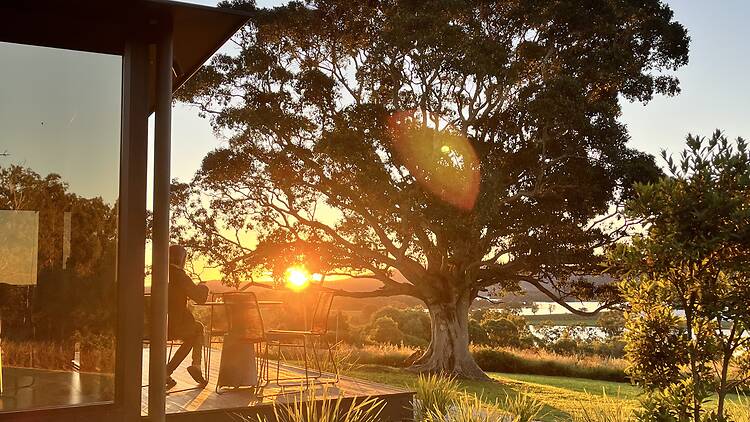 Sunset in bush