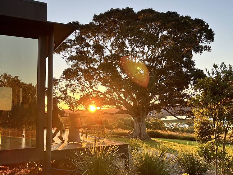 Wander in the Scenic Rim Wander in the Scenic Rim