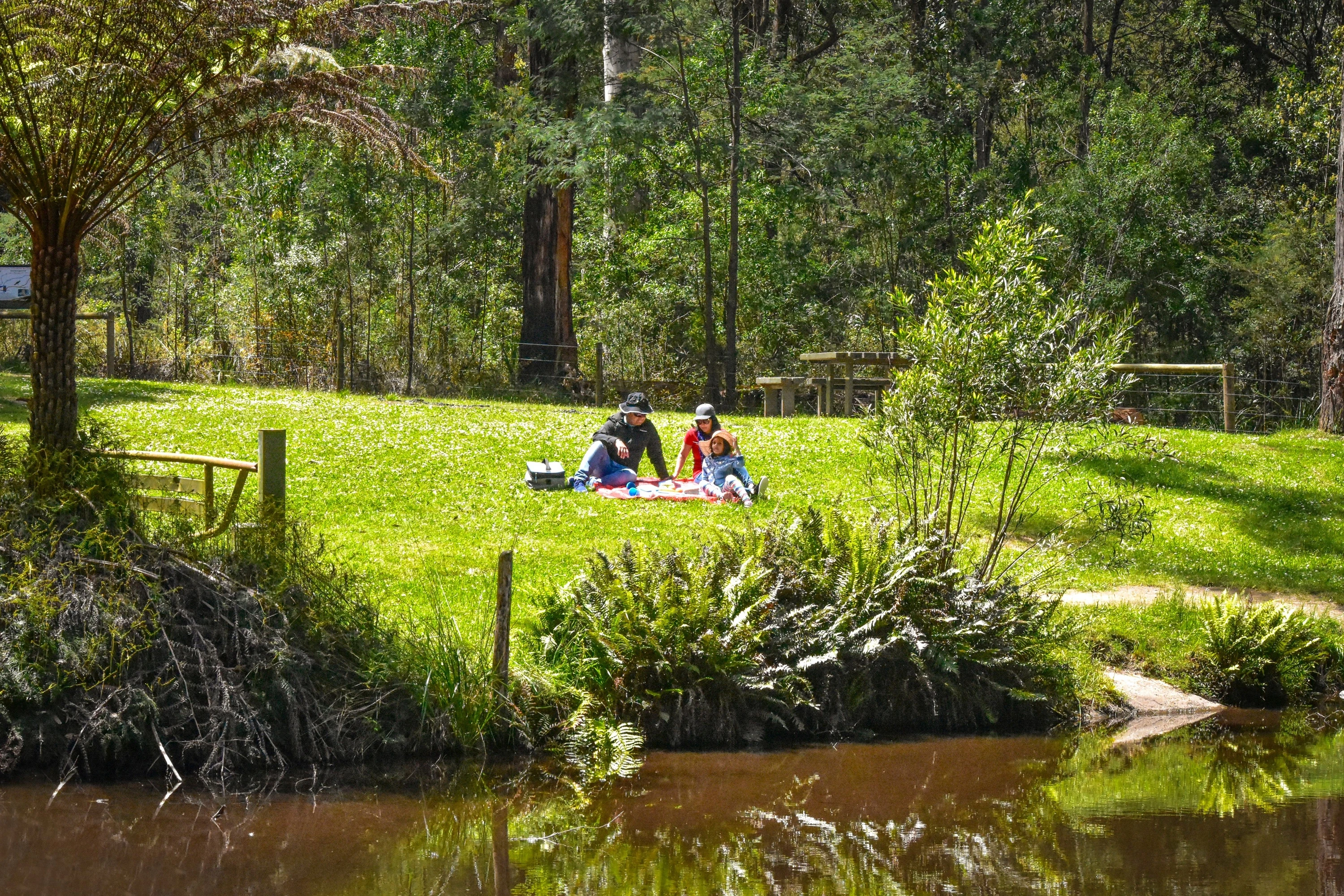 Picnic, Kurth Kiln Regional Park