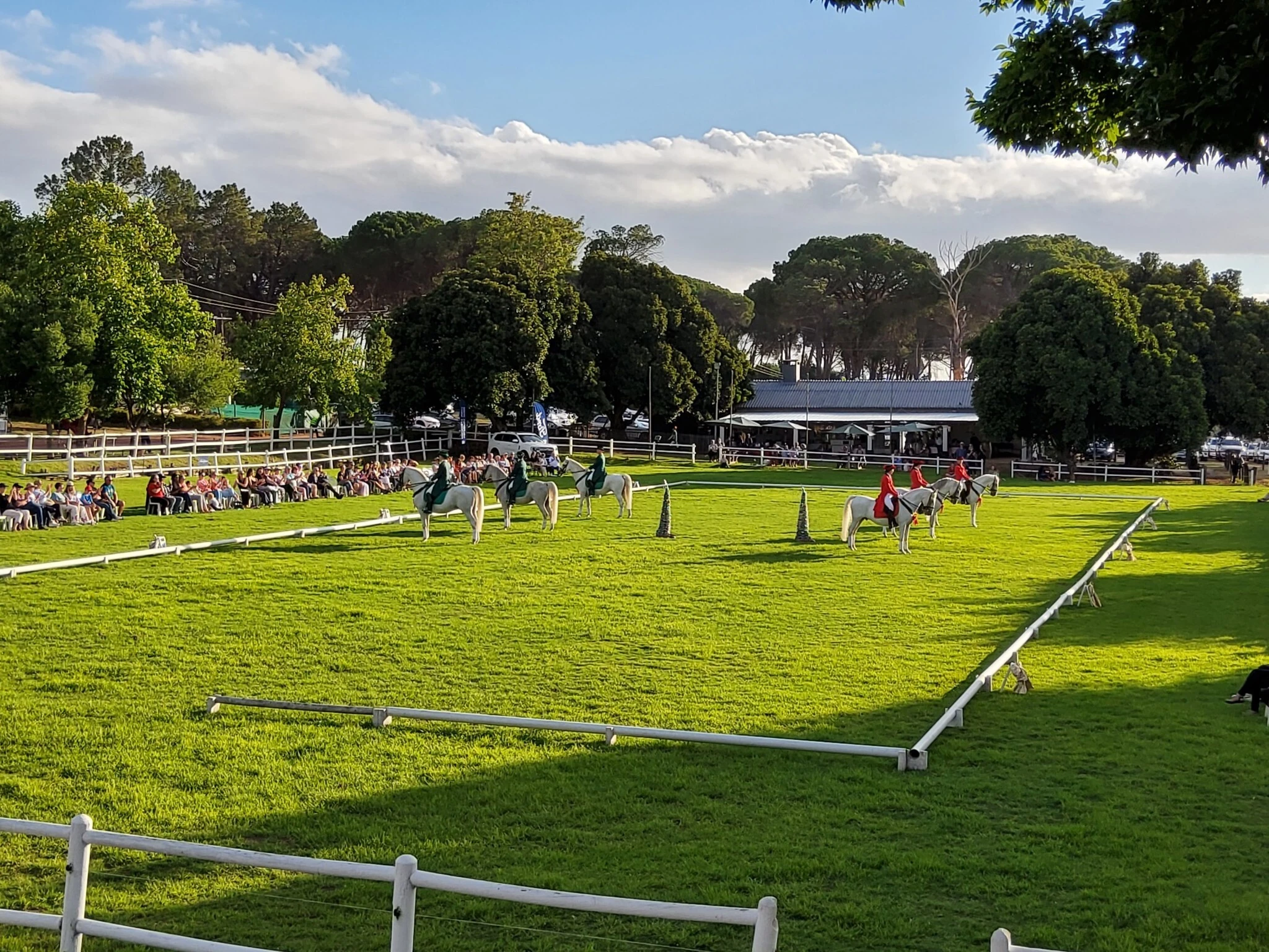 South African Lipizzaners