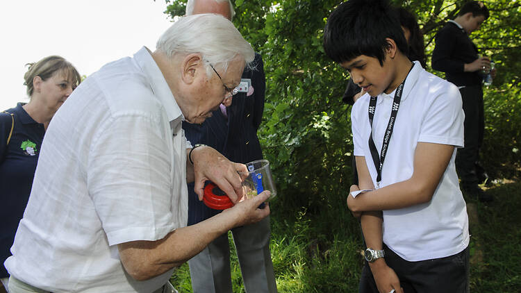 Sir David Attenborough educating school kids about London wildlife Sir David Attenborough educating school kids about London wildlife