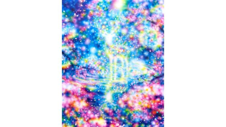 塚本智也 個展「光の循環」