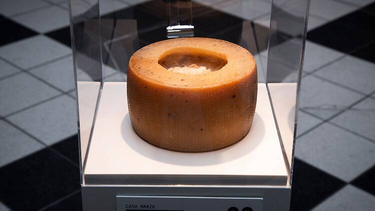 Hold your nose at Disgusting Food Museum Hold your nose at Disgusting Food Museum