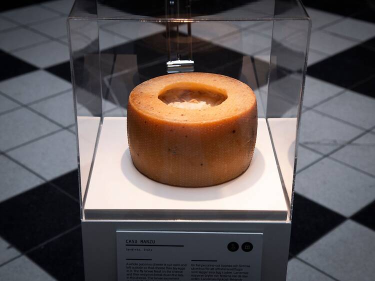 Hold your nose at Disgusting Food Museum Hold your nose at Disgusting Food Museum