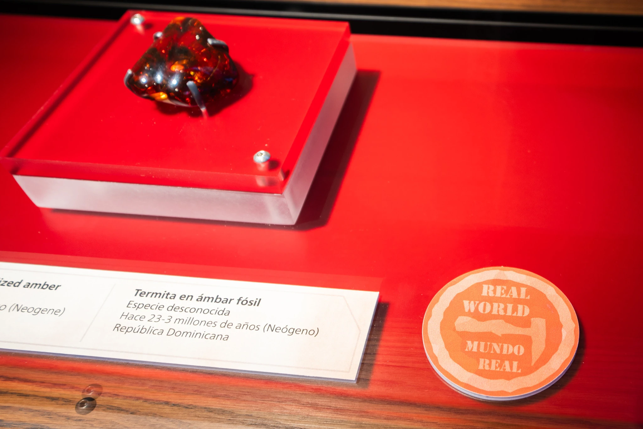 Pok&eacute;mon Fossil Museum at the Field Museum