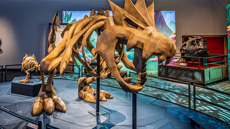 Catch 'em all at the Pokémon Fossil Museum