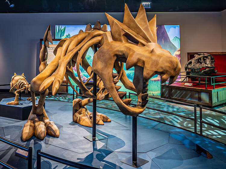 Catch 'em all at the Pokémon Fossil Museum