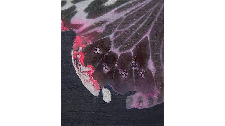 Cyborg Butterfly: Threshold Cyborg Butterfly: Threshold
