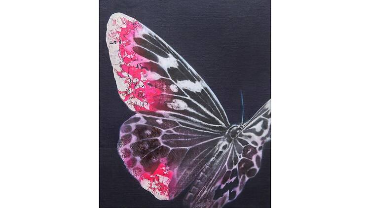 Cyborg Butterfly: Threshold Cyborg Butterfly: Threshold