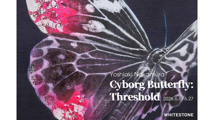 Cyborg Butterfly: Threshold Cyborg Butterfly: Threshold