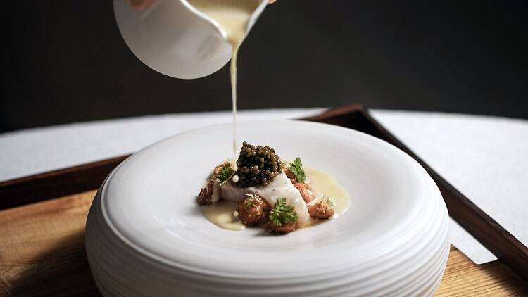 Or an 18-course menu at Michelin-starred restaurant Signum, Bohuslän Or an 18-course menu at Michelin-starred restaurant Signum, Bohuslän