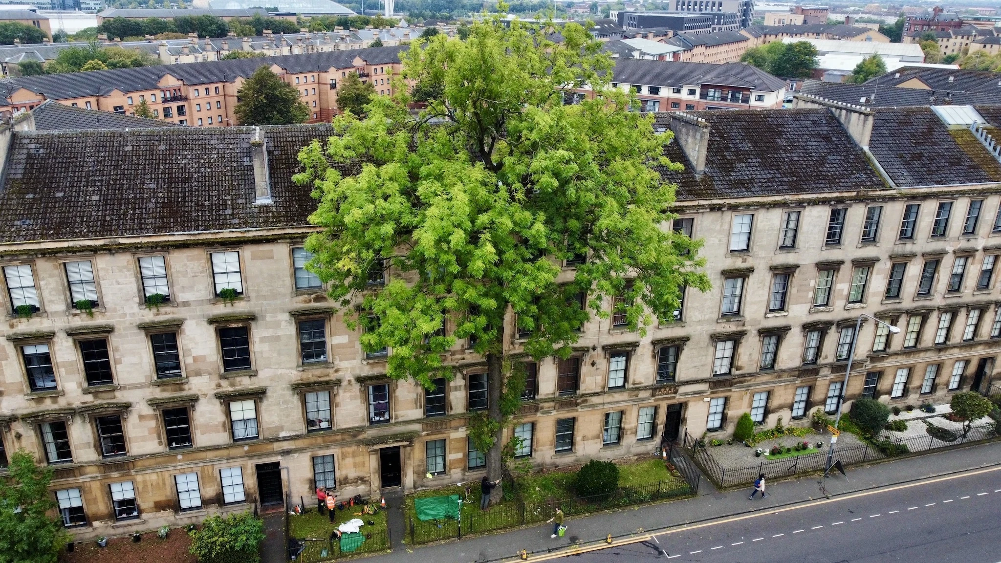Argyle Street Ash, UK