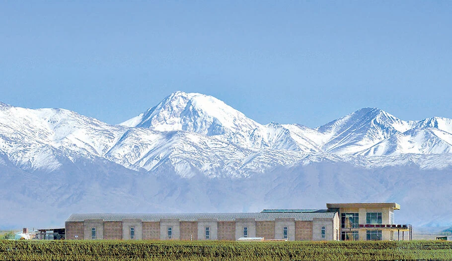 domaine-bousquet
