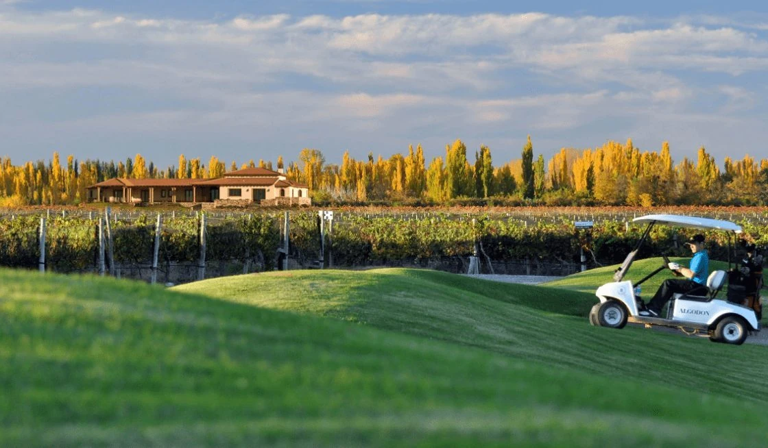 algodon-wine-estate