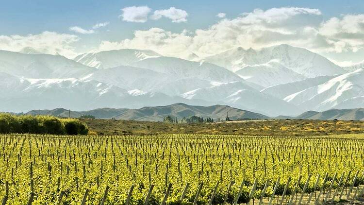 How to Explore Mendoza Through Wine (Without Being an Expert)