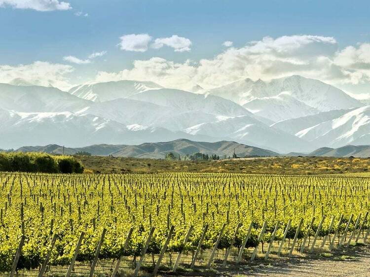 How to Explore Mendoza Through Wine (Without Being an Expert)