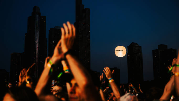 Lollapalooza Lollapalooza