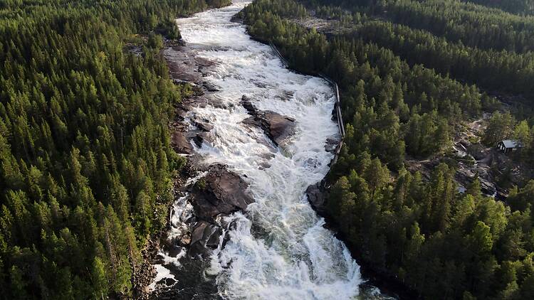 Experience the power of nature at Storforsen, Norrbotten Experience the power of nature at Storforsen, Norrbotten