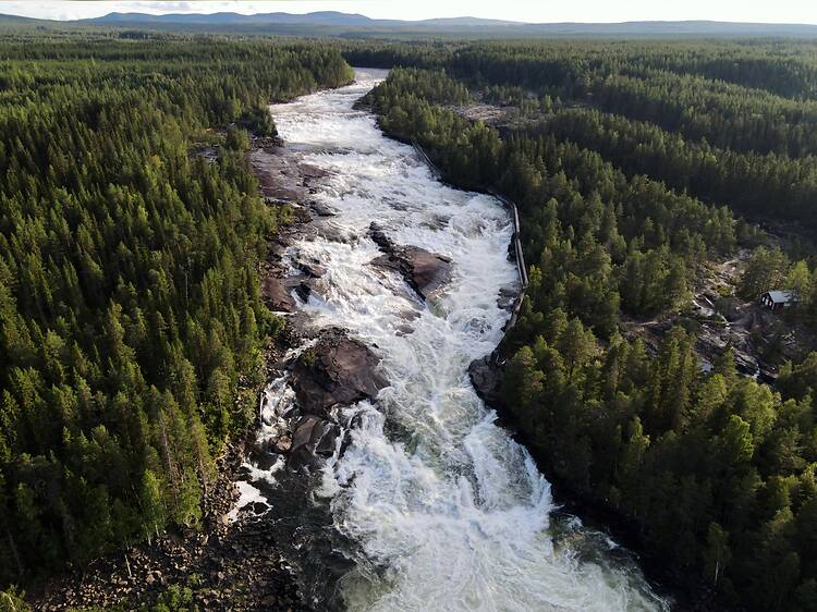 Experience the power of nature at Storforsen, Norrbotten Experience the power of nature at Storforsen, Norrbotten