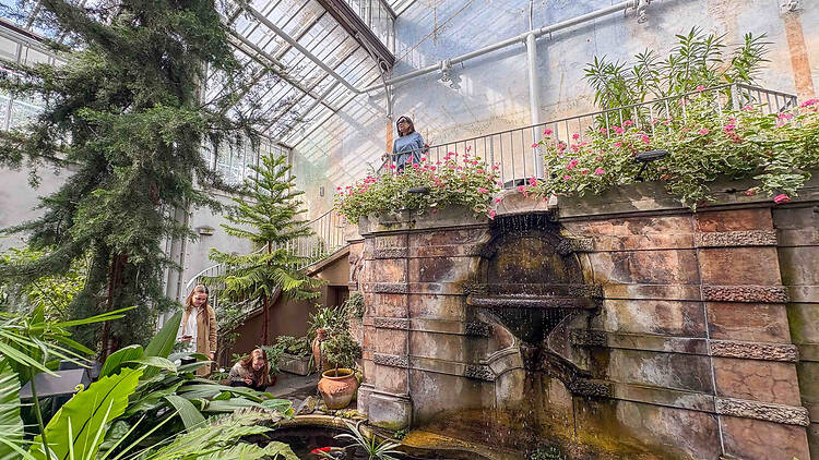 Enjoy a tropical picnic at Helsinki’s Winter Garden Enjoy a tropical picnic at Helsinki’s Winter Garden