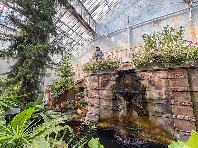 Enjoy a tropical picnic at Helsinki’s Winter Garden Enjoy a tropical picnic at Helsinki’s Winter Garden