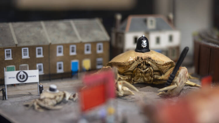 The Crab Museum The Crab Museum