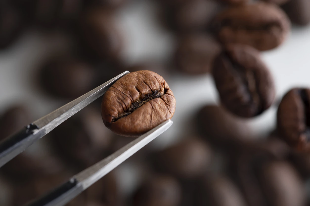 Holding coffee bean with Tweezers