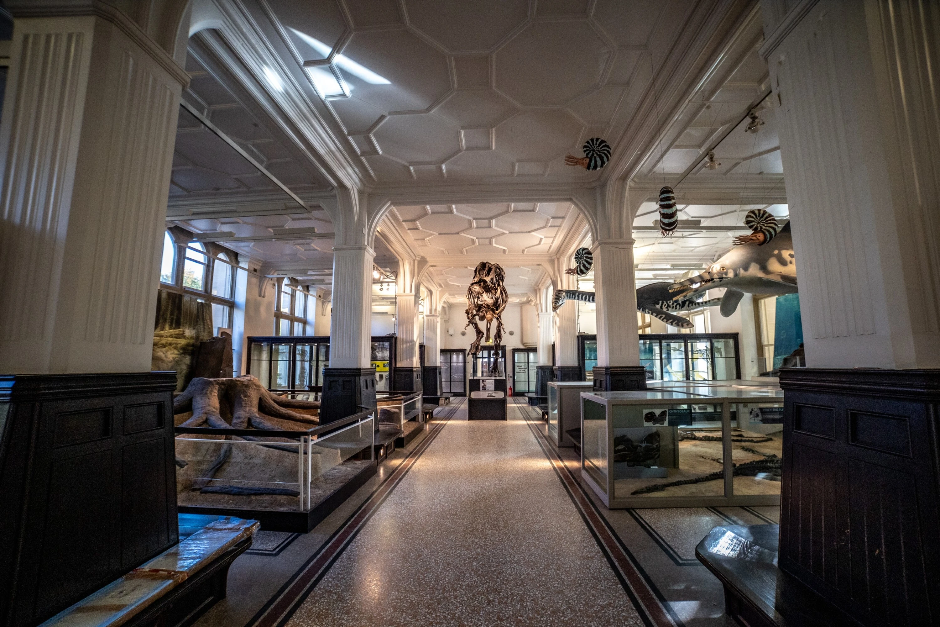 Manchester Museum