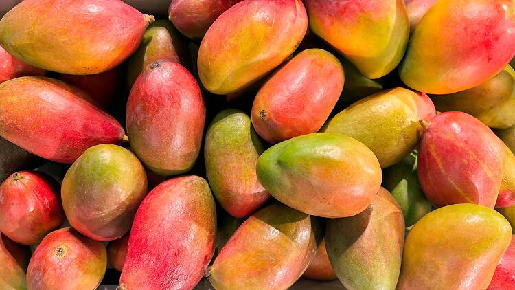 Mangoes Mangoes