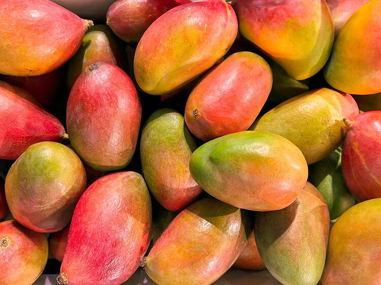 Miami’s beloved mango-for-bread swap at Zak the Baker is back next month
