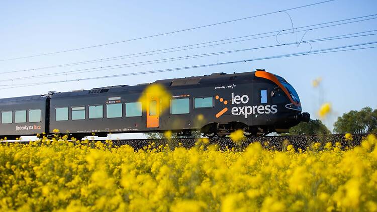Leo Express train in spring Leo Express train in spring