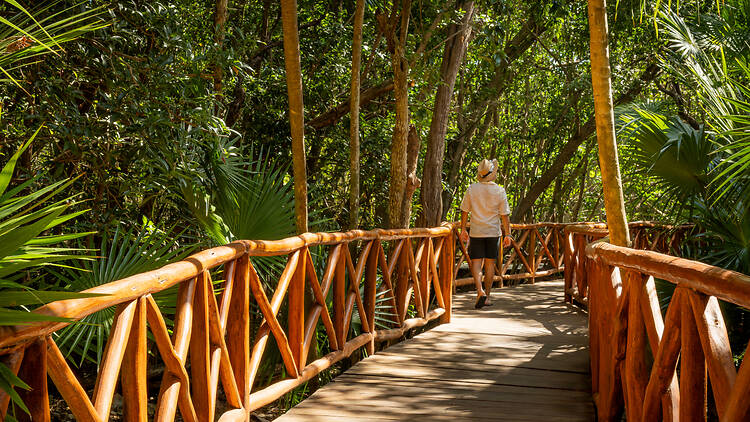 Iberostar Selection Paraiso Lindo