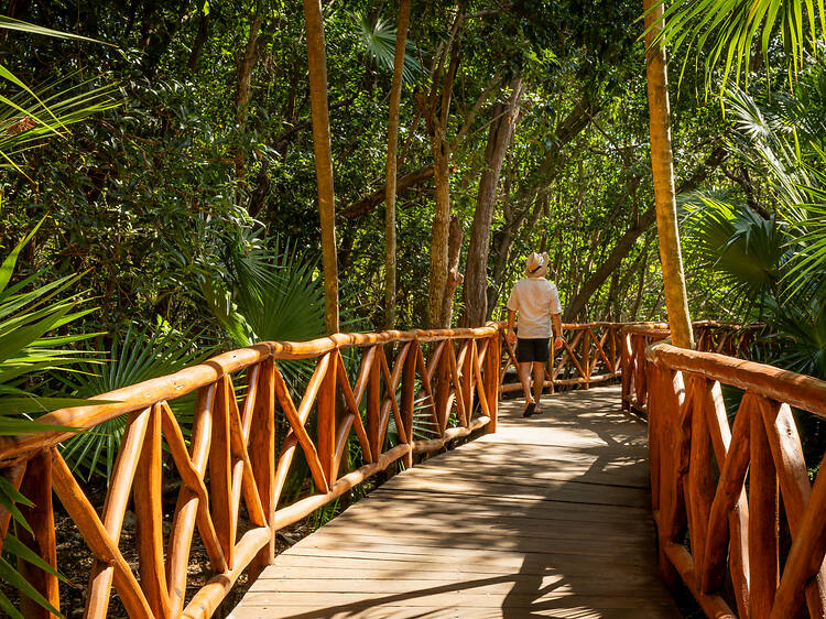 Iberostar Selection Paraiso Lindo Iberostar Selection Paraiso Lindo