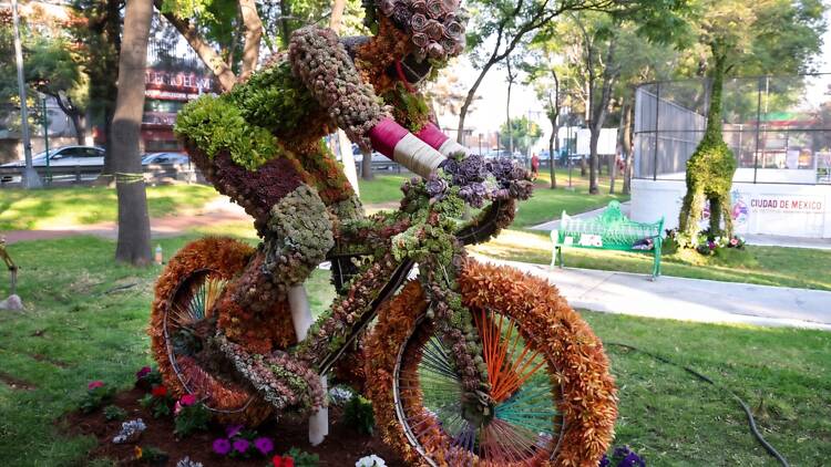 CDMX tendrá más de 200 esculturas florales de fútbol gratis CDMX tendrá más de 200 esculturas florales de fútbol gratis
