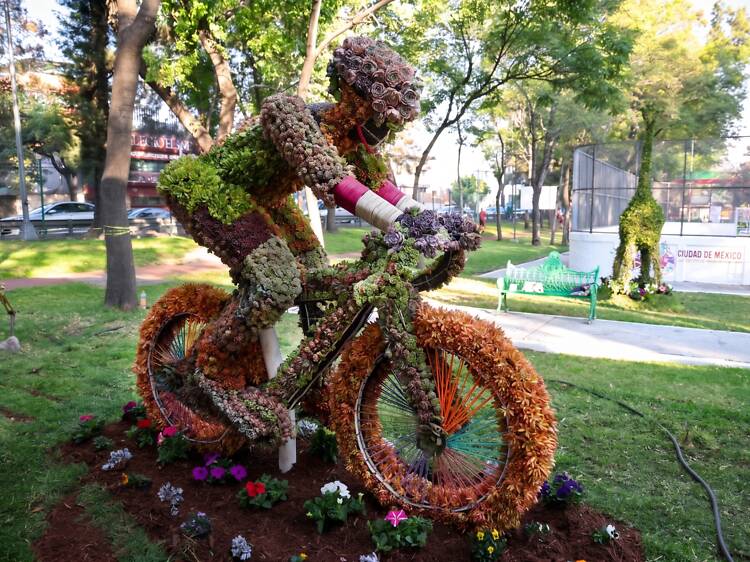 CDMX tendrá más de 200 esculturas florales de fútbol gratis CDMX tendrá más de 200 esculturas florales de fútbol gratis