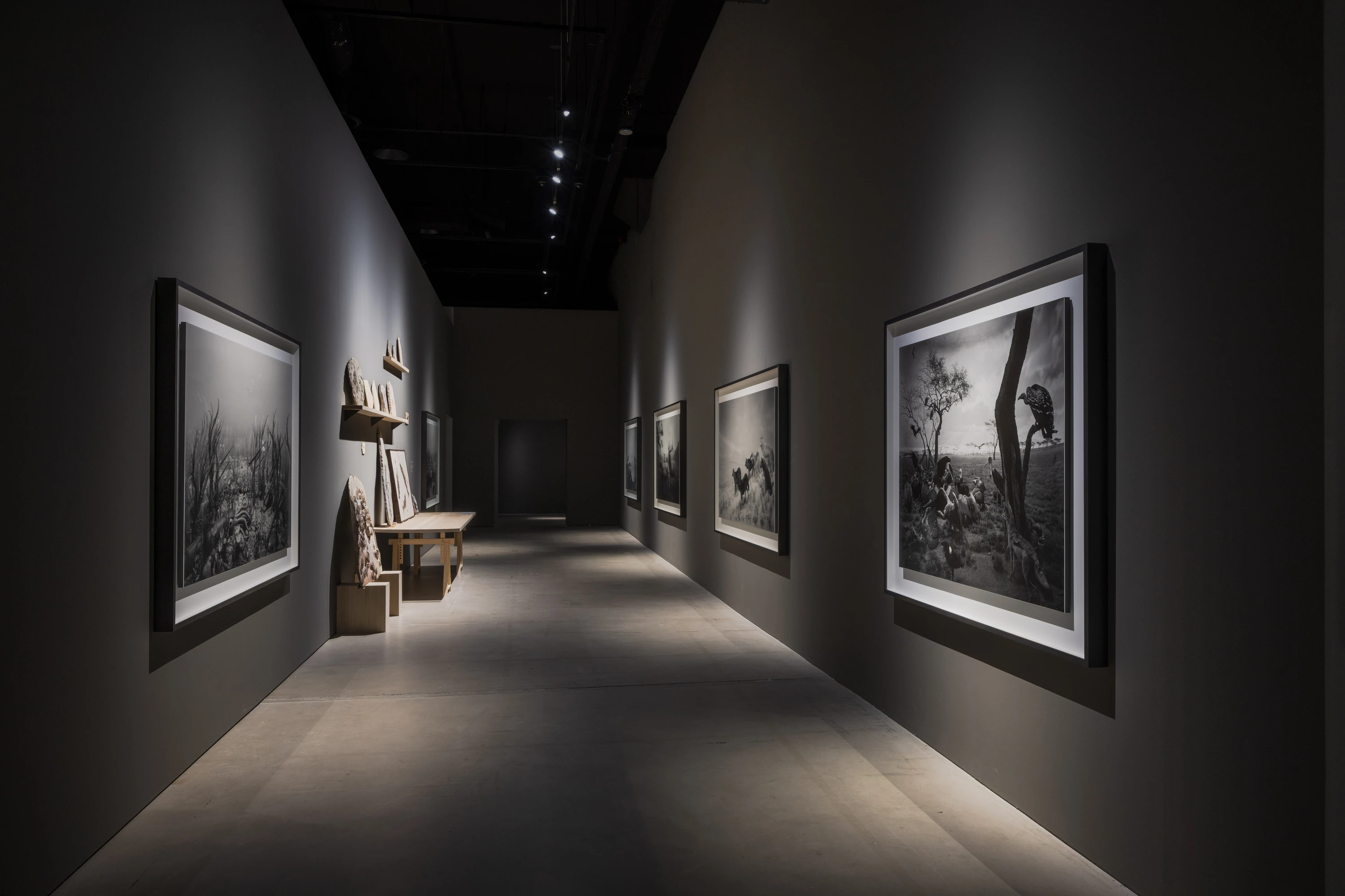 Installation view of Hiroshi Sugimoto&rsquo;s Dioramas (1975 &ndash; 2025)