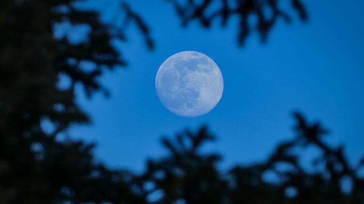 Full moon Full moon in blue sky