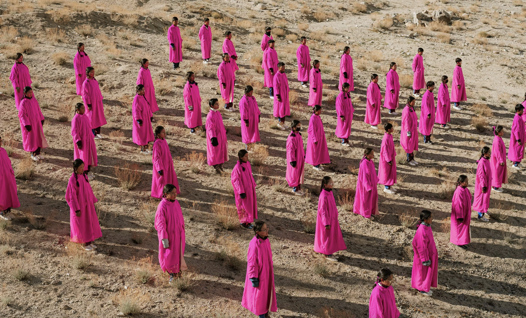 [拉达克/双年展] + [全球海拔最高艺术双年展开幕]（Ladakh is hosting the world's highest art biennale – here's what to know）