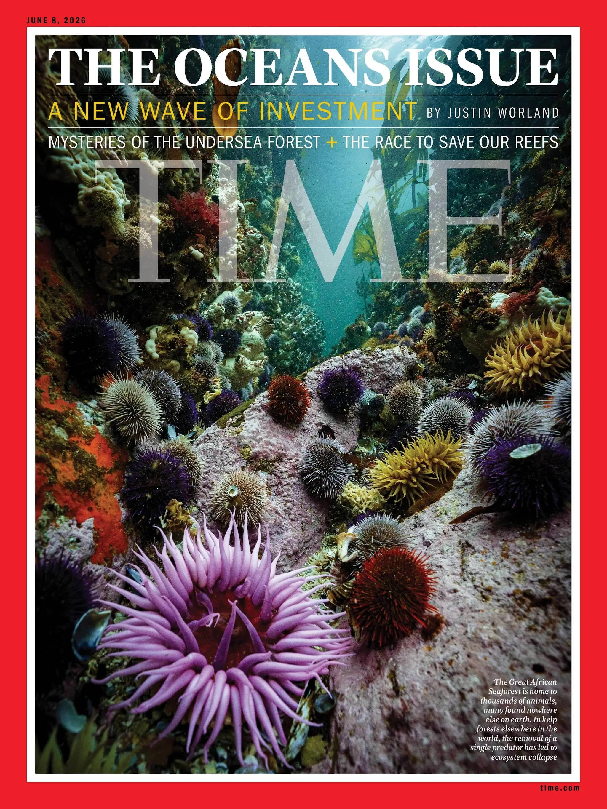 TIME magazine, featuring the Great African Seaforest