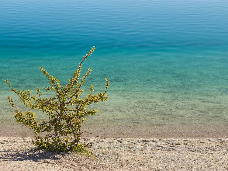 Take a refreshing dip in the Blue Lagoon, Gotland Take a refreshing dip in the Blue Lagoon, Gotland
